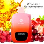 Vabeen Maxx 10,000 puff. Strawberry Raspberry Cherry 5%