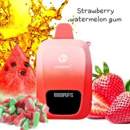 Vabeen Maxx 10,000 puff. Strawberry Watermelon Gum 5%