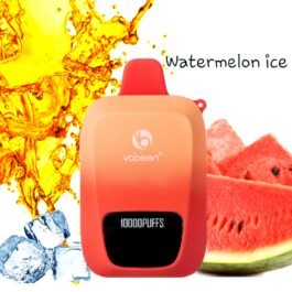 Vabeen Maxx 10,000 puff. Watermelon Ice 5%