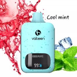 Vabeen Infinity 10,000 puff. Cool mint 5%