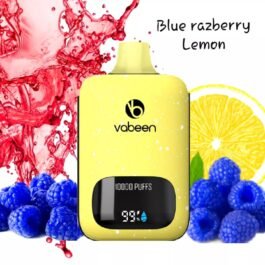 Vabeen Infinity 10,000 puff. Blue Raspberry Lemon 5%